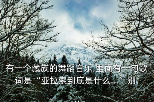 有一個藏族的舞蹈音樂,里面有一句歌詞是“亞拉索到底是什么...”別...