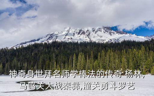 靠山王楊林