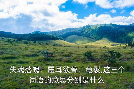失魂落魄的意思