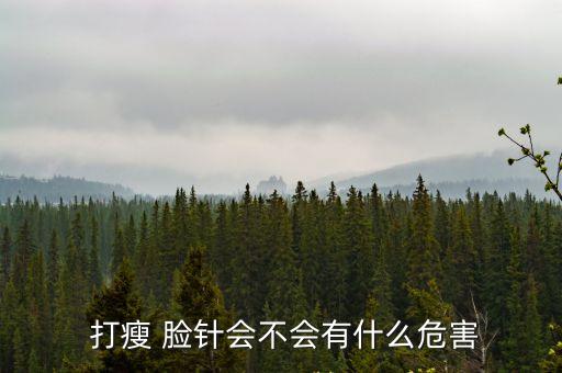 打瘦臉針,打瘦臉針要花費多少錢?