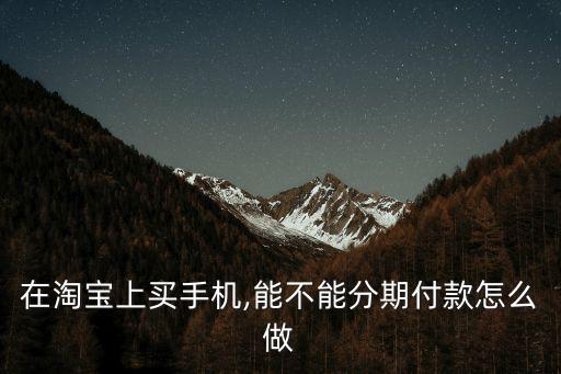 天貓分期購