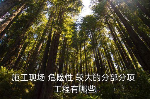 危險(xiǎn)性較大的分部分項(xiàng)工程安全管理辦法
