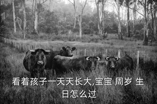 周歲生日蛋糕圖片,祝你生日快樂，寶貝，生日幸福!