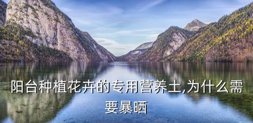 種鮮花,云南花之大陸怎么種植繁花?
