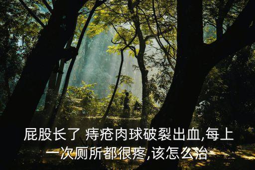  屁股長了 痔瘡肉球破裂出血,每上一次廁所都很疼,該怎么治
