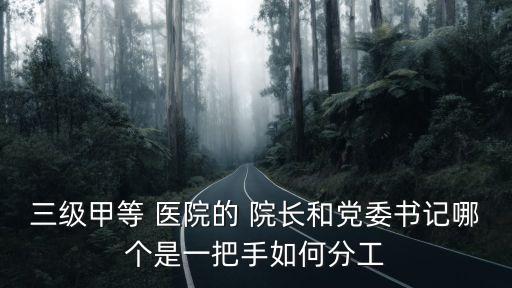 三級(jí)甲等 醫(yī)院的 院長(zhǎng)和黨委書記哪個(gè)是一把手如何分工
