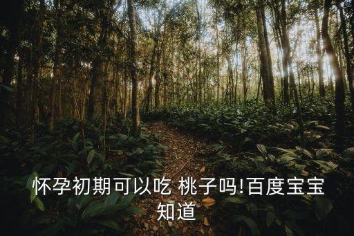  懷孕初期可以吃 桃子嗎!百度寶寶知道