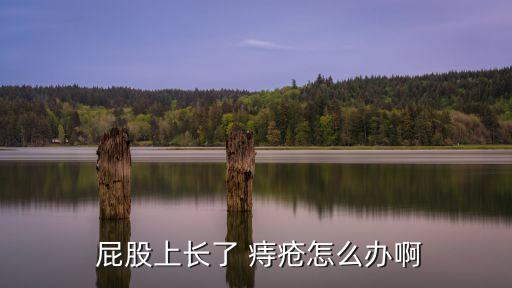 屁股痔瘡