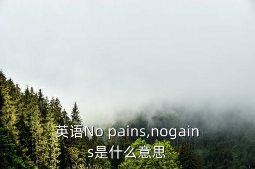 英語No pains,nogains是什么意思