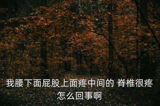 我腰下面屁股上面疼中間的 脊椎很疼怎么回事啊