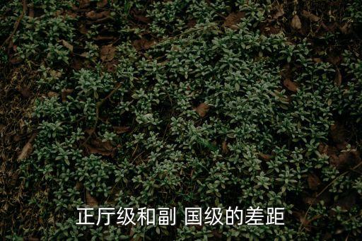 正廳級和副 國級的差距