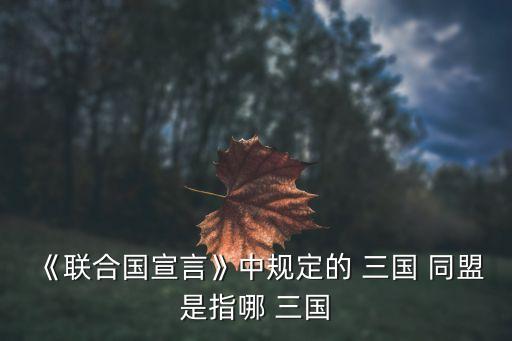 三國同盟,三國協(xié)議:俄羅斯、英國、法國二戰(zhàn)同盟