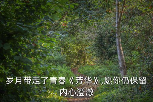 林丁丁,林丁丁:活雷鋒劉峰不能追求我?