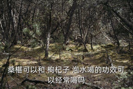 桑葚枸杞泡水喝的功效,一文看懂!枸杞和桑葚泡水喝的功效?