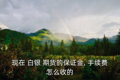 白銀期貨手續費,交易所白銀期貨手續費