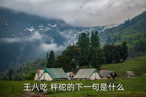  王八吃 秤砣的下一句是什么