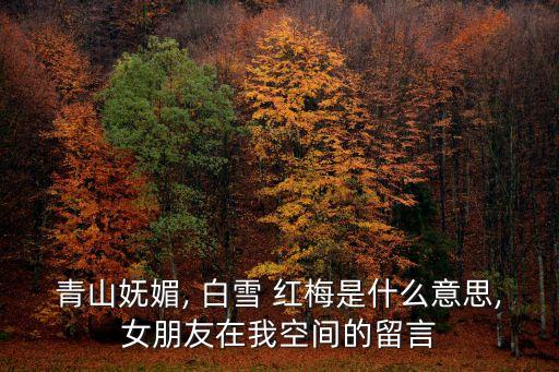青山嫵媚, 白雪 紅梅是什么意思,女朋友在我空間的留言