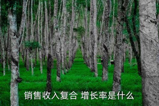 銷售收入復合 增長率是什么