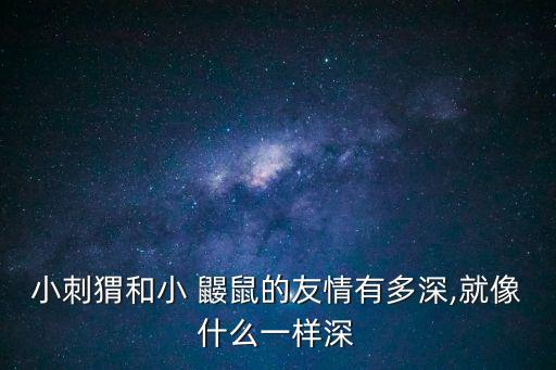 小鼴鼠