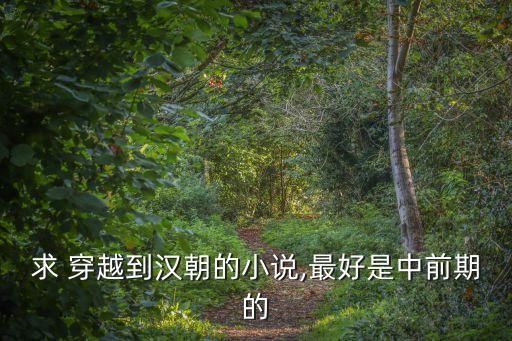 求 穿越到漢朝的小說(shuō),最好是中前期的