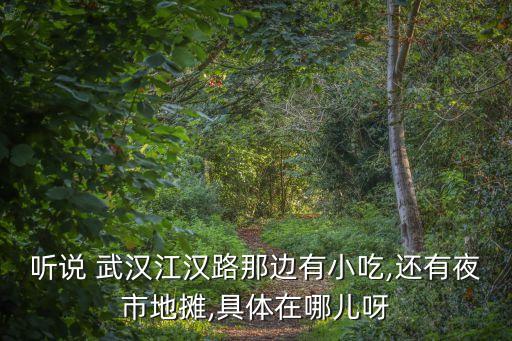 武漢美食街,武漢萬松園美食街在哪?