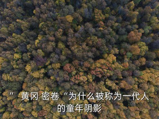 ” 黃岡 密卷“為什么被稱為一代人的童年陰影