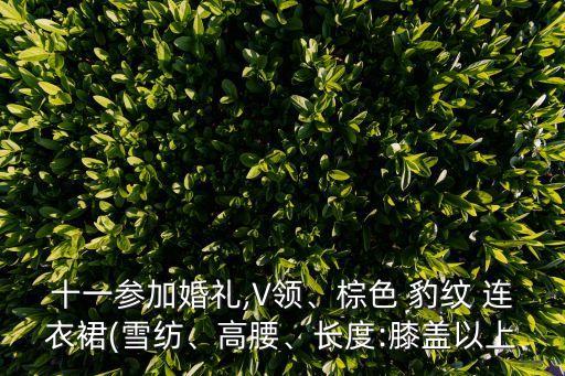 十一參加婚禮,V領、棕色 豹紋 連衣裙(雪紡、高腰、長度:膝蓋以上