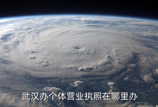 武漢注冊(cè)公司,武漢公司注冊(cè)5天內(nèi)可完成審核