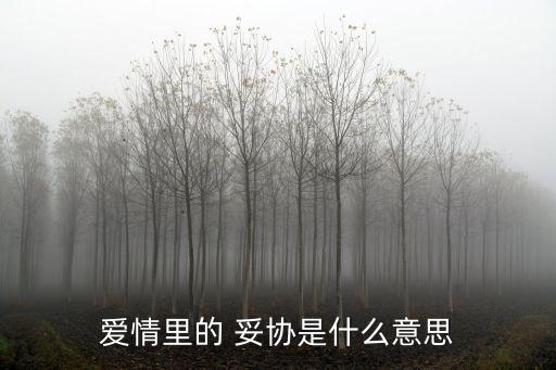 妥協是什么意思,浪漫的靈魂從不向生活妥協是什么意思