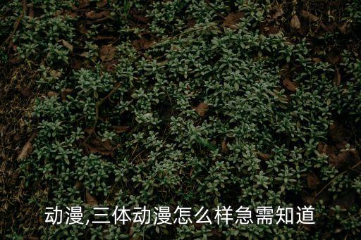動漫,三體動漫怎么樣急需知道