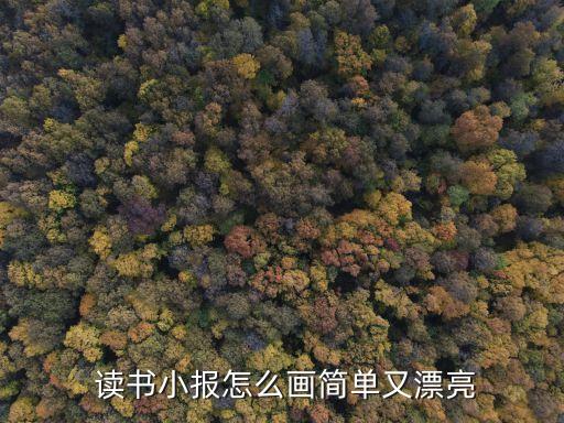 讀書的畫,簡簡畫三毛流浪故事紙抄報出爐!