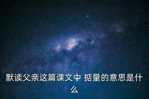默讀父親這篇課文中 掂量的意思是什么