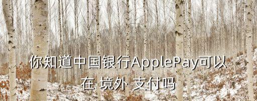 境外支付