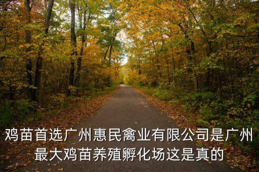 廣州哪有白腹錦雞苗買，廣州那里有山雞苗出售