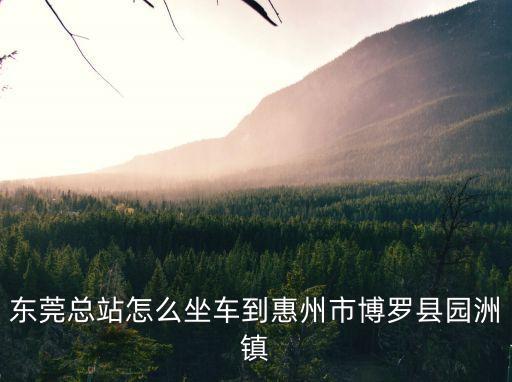 東莞總站怎么坐車到惠州市博羅縣園洲鎮(zhèn)