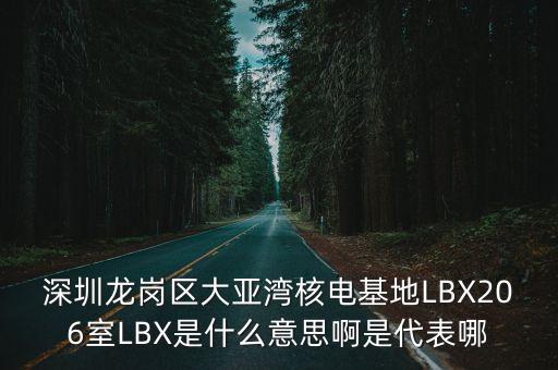 深圳龍崗區(qū)大亞灣核電基地LBX206室LBX是什么意思啊是代表哪