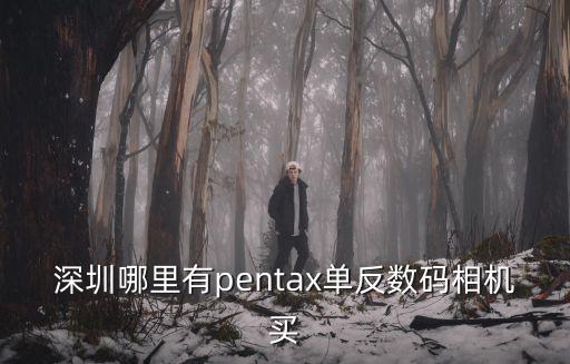 深圳哪里有pentax單反數碼相機買