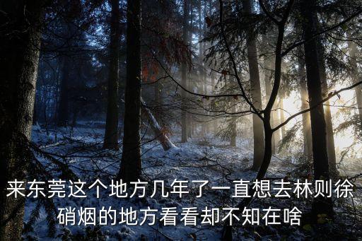 東莞百年舊街，來東莞這個地方幾年了一直想去林則徐硝煙的地方看看卻不知在啥