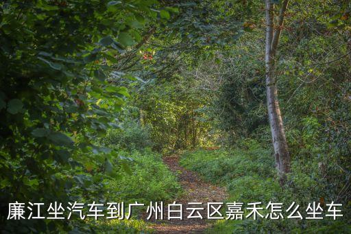 廉江坐汽車到廣州白云區(qū)嘉禾怎么坐車