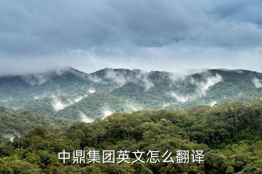 中鼎集團英文怎么翻譯