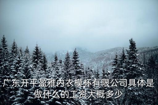 廣東開平盈雅內(nèi)衣模杯有限公司具體是做什么的工資大概多少