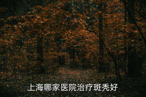 上海市皮膚病醫(yī)院斑禿，上海最好的皮膚病醫(yī)院哪家醫(yī)院治療斑禿有效果