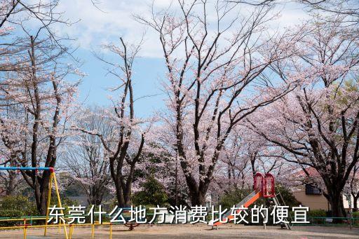 東莞哪個鎮消費便宜，東莞城市以為的周邊小縣城哪里消費最低