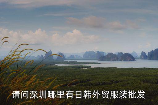 請問深圳哪里有日韓外貿服裝批發