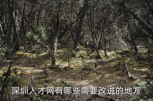 深圳人才網有哪些需要改進的地方