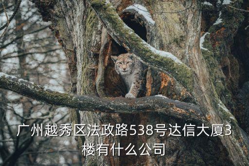 廣州越秀區法政路538號達信大廈3樓有什么公司