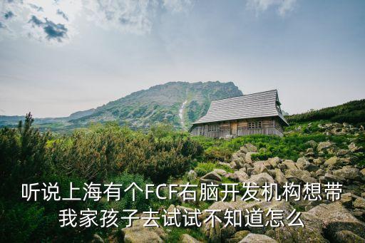 聽說上海有個FCF右腦開發(fā)機構(gòu)想帶我家孩子去試試不知道怎么