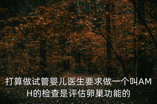 打算做試管嬰兒醫生要求做一個叫AMH的檢查是評估卵巢功能的