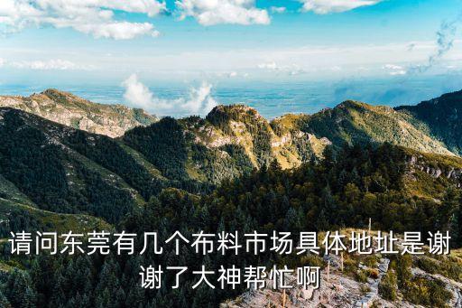 請問東莞有幾個布料市場具體地址是謝謝了大神幫忙啊