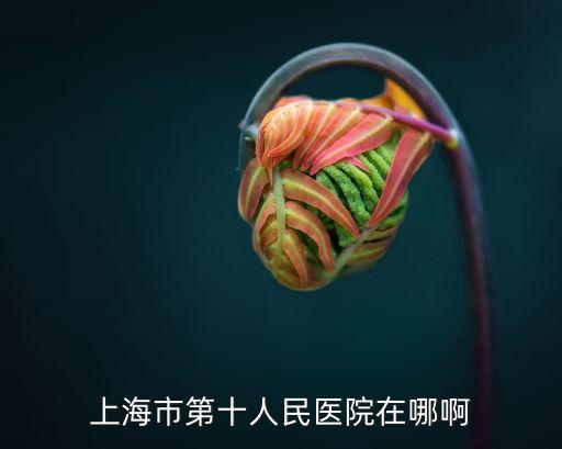 上海市第十人民醫(yī)院 普陀區(qū) 街道，上海市第十人民醫(yī)院在哪啊